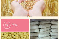 金谷粮食网,打造一站式粮食交易服务平台