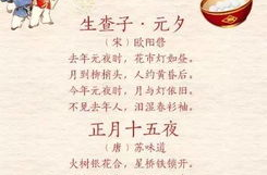 《元宵》古诗四句,诗意灯谜，古韵流光