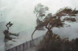北京九级大风,北京遭遇九级大风，城市安全与环保意识再敲警钟”